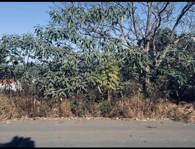 2,028M² VACANT LAND FOR SALE IN LYNNFIELD PARK